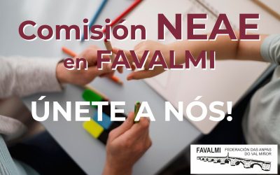 COMISIÓN NEAE
